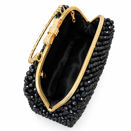 ALVIROSE (large) - Acrylic Jewel Bag