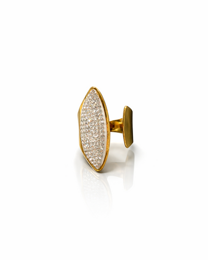 ANELLO POLYHARMONY
