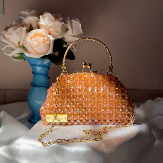 ALVIROSE - Mini Acrylic Jewel Bag