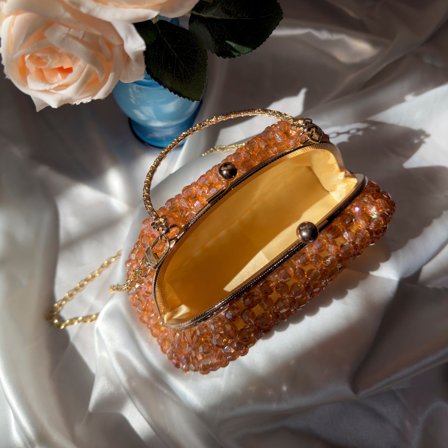 ALVIROSE - Mini Acrylic Jewel Bag